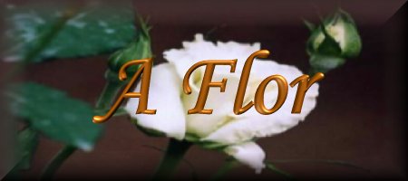 A Flor